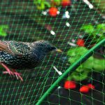 BIRDNET Madárháló 4 m*5 m