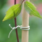 Érdes kötöződrót vágószerkezettel (zöld)