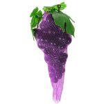 Vespa Protec darázs elleni védőháló